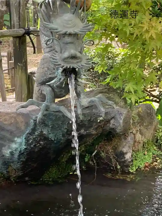 徳運寺(長野県)