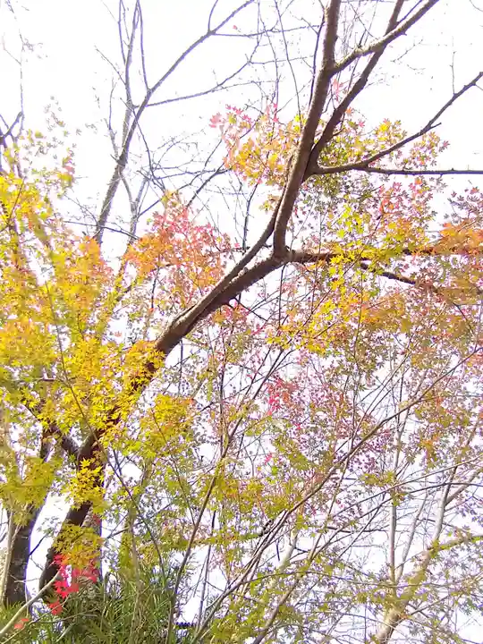 石内のお大師さん 金剛院(広島県)