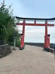 青島神社（青島神宮）の鳥居