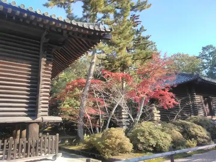 唐招提寺の庭園