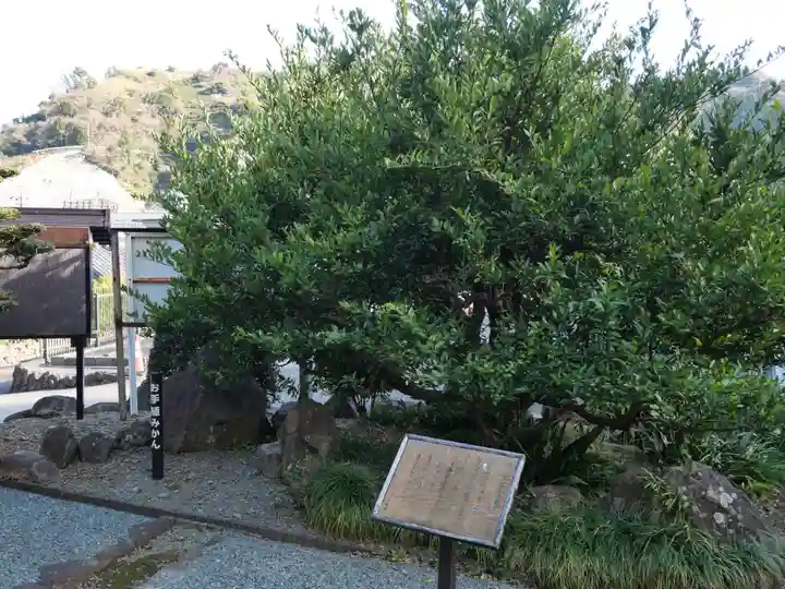 安養寺(静岡県)