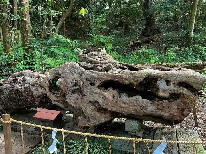 泉神社(茨城県)