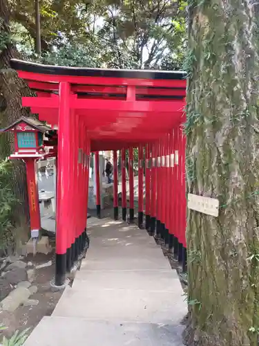 乃木神社の鳥居