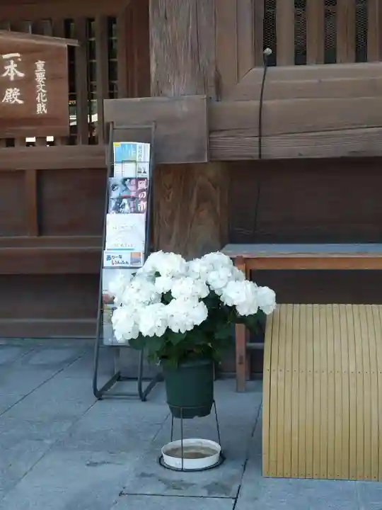 筥崎宮(福岡県)