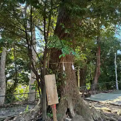 別所白山神社(神奈川県)