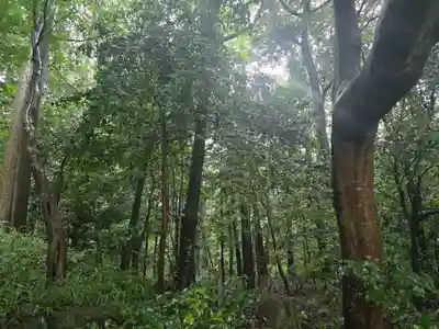 奥石神社(滋賀県)