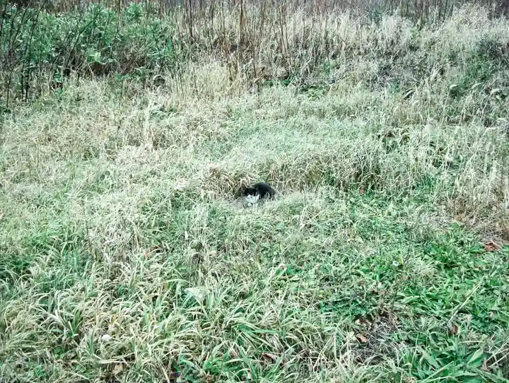 稲荷神社(北海道)
