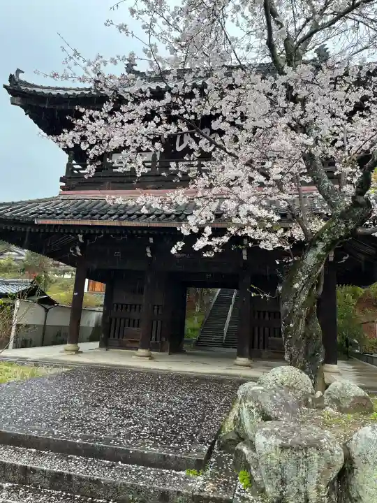 遍照寺法界院の{uncategorized: "未分類", other: "その他", undefined: "問題あり", building: "その他建物", grave: "お墓", sacred_gate: "鳥居", guardian: "狛犬", statue: "像", buddha: "仏像", history: "歴史", nature: "自然", garden: "庭園", animal: "動物", pagoda: "塔", temizu: "手水舎", mountain_gate: "山門・神門", sanctuary: "本殿・本堂", subordinate: "末社・摂社", art: "芸術", scenery: "景色", jizo: "地蔵", ema: "絵馬", goshuin: "御朱印", omikuji: "おみくじ", items: "授与品その他", amulet: "お守り", goshuincho: "御朱印帳", eats: "食事", festival: "お祭り", votive_dance: "神楽", shichigosan: "七五三参", wedding: "結婚式", experience: "体験その他", initially: "初詣", around: "周辺", anti_infection: "感染症対策"}