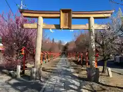 朝日森天満宮の鳥居