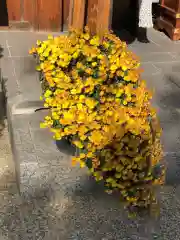 水堂須佐男神社の自然