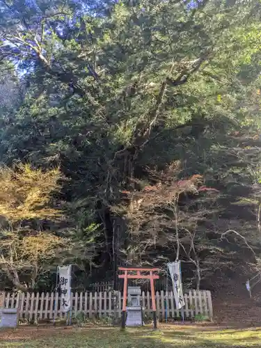 金剛院(京都府)