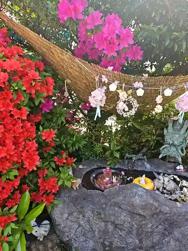 三輪神社(愛知県)