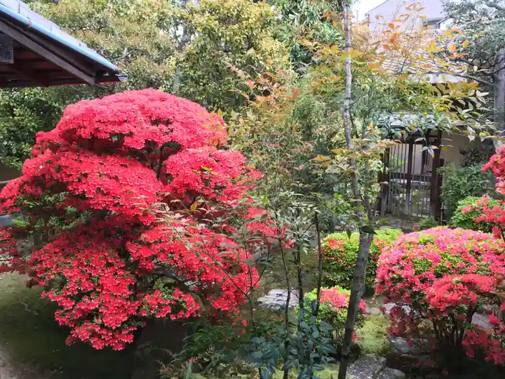 正傳(正伝)永源院の自然