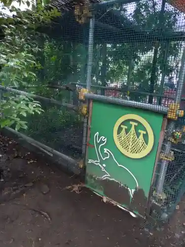 浅草神社の動物