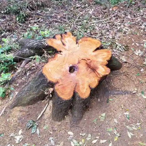 戸隠神社の自然
