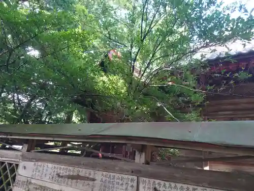 椋神社の本殿