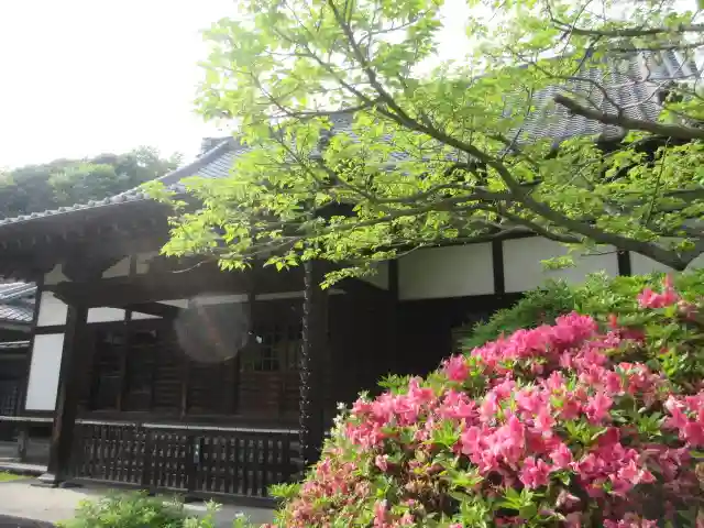 浄光明寺(神奈川県)