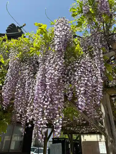 福島稲荷神社(福島県)