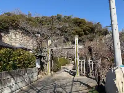 明王院の{uncategorized: "未分類", other: "その他", undefined: "問題あり", building: "その他建物", grave: "お墓", sacred_gate: "鳥居", guardian: "狛犬", statue: "像", buddha: "仏像", history: "歴史", nature: "自然", garden: "庭園", animal: "動物", pagoda: "塔", temizu: "手水舎", mountain_gate: "山門・神門", sanctuary: "本殿・本堂", subordinate: "末社・摂社", art: "芸術", scenery: "景色", jizo: "地蔵", ema: "絵馬", goshuin: "御朱印", omikuji: "おみくじ", items: "授与品その他", amulet: "お守り", goshuincho: "御朱印帳", eats: "食事", festival: "お祭り", votive_dance: "神楽", shichigosan: "七五三参", wedding: "結婚式", experience: "体験その他", initially: "初詣", around: "周辺", anti_infection: "感染症対策"}