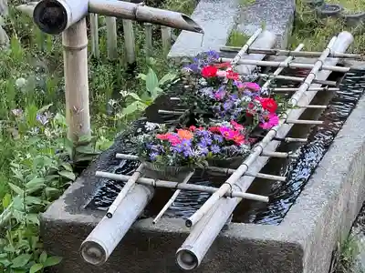 二尊院(京都府)