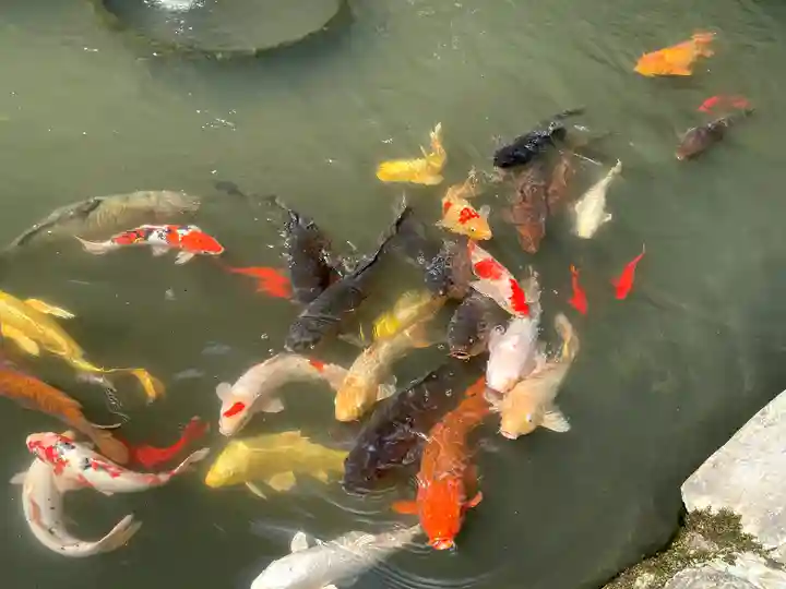 熊野大社(島根県)