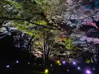 土津神社|こどもと出世の神さまの自然