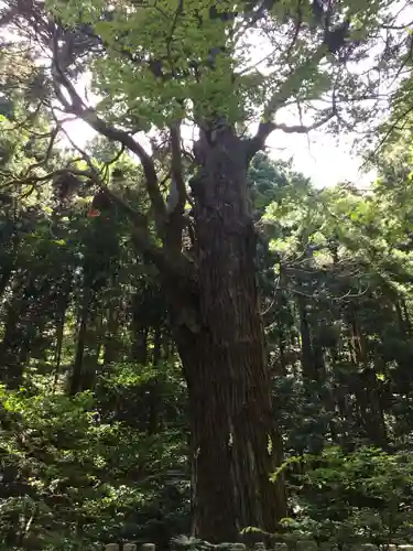 寳光院の建物その他