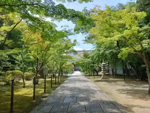 光明寺（粟生光明寺）(京都府)