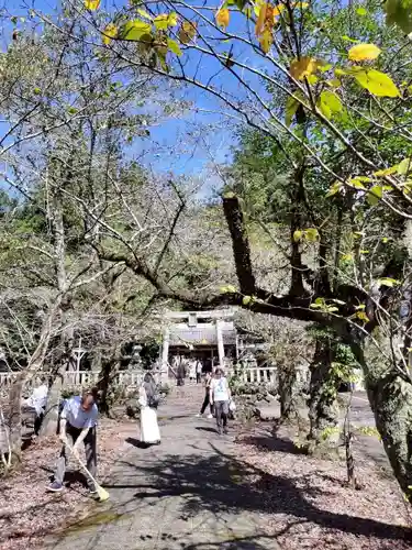 天鷹神社(岐阜県)