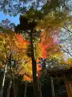 日吉大社(滋賀県)