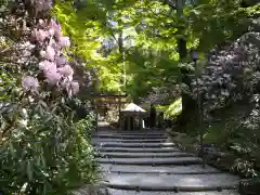 岡寺（龍蓋寺）(奈良県)