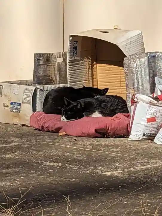 白金氷川神社の動物