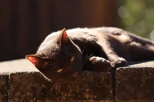 玉野御嶽神社(愛知県)