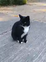 岡部春日神社~👹鬼門よけの🌺花咲く🌺やしろ~(福島県)