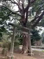 浅間神社(千葉県)