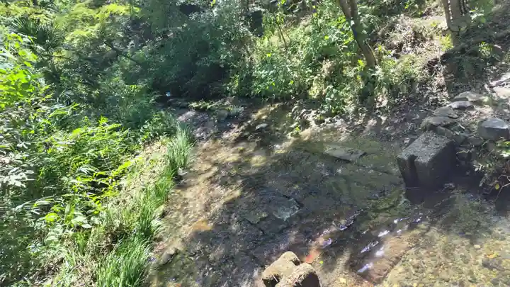 賀茂御祖神社(下鴨神社)(京都府)