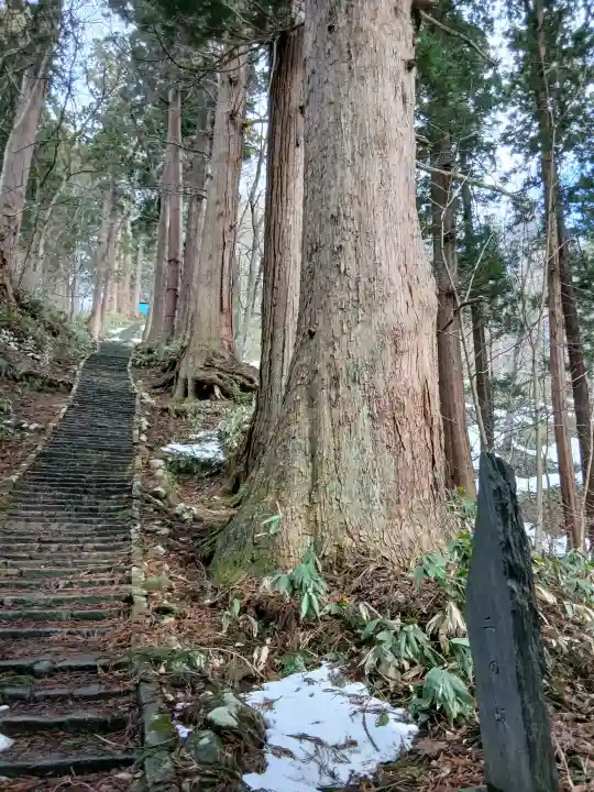 出羽神社(出羽三山神社)~三神合祭殿~の{uncategorized: "未分類", other: "その他", undefined: "問題あり", building: "その他建物", grave: "お墓", sacred_gate: "鳥居", guardian: "狛犬", statue: "像", buddha: "仏像", history: "歴史", nature: "自然", garden: "庭園", animal: "動物", pagoda: "塔", temizu: "手水舎", mountain_gate: "山門・神門", sanctuary: "本殿・本堂", subordinate: "末社・摂社", art: "芸術", scenery: "景色", jizo: "地蔵", ema: "絵馬", goshuin: "御朱印", omikuji: "おみくじ", items: "授与品その他", amulet: "お守り", goshuincho: "御朱印帳", eats: "食事", festival: "お祭り", votive_dance: "神楽", shichigosan: "七五三参", wedding: "結婚式", experience: "体験その他", initially: "初詣", around: "周辺", anti_infection: "感染症対策"}
