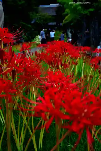 横浜　西方寺(神奈川県)
