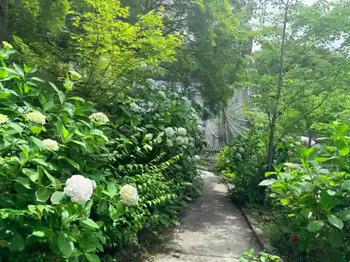 南法華寺（壷阪寺）(奈良県)