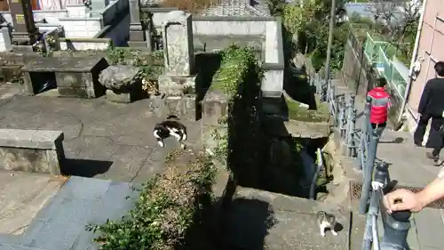 深崇寺(長崎県)