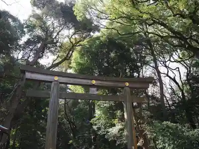 明治神宮(東京都)