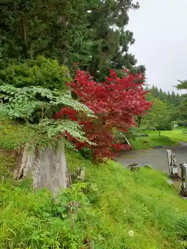 八幡薬師相殿神社の自然