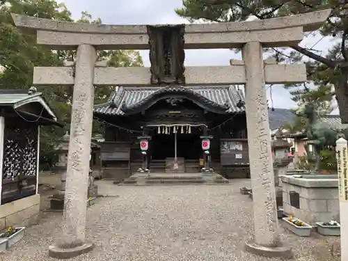 大麻比古神社の鳥居