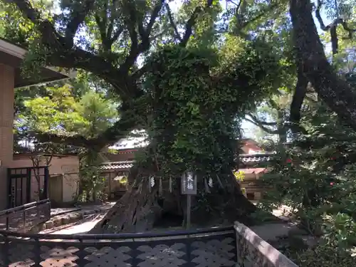 筥崎宮(福岡県)