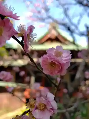 赤坂氷川神社(東京都)