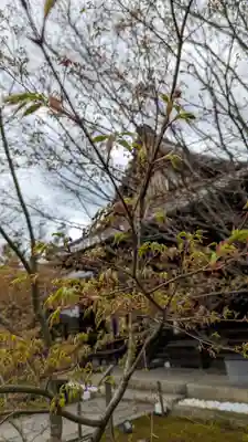 勝林寺(京都府)