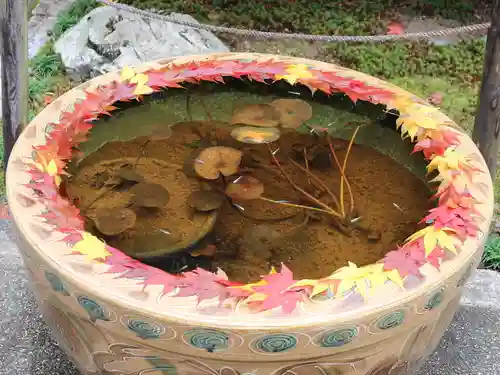 一條殿 新善光寺(京都府)