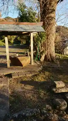 八雲神社の手水舎