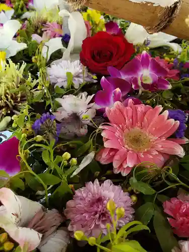 鳩森八幡神社の手水舎