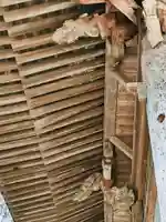 法田寺(法田観音堂)の本殿・本堂